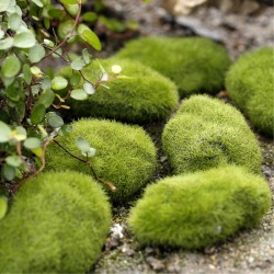 New 3PCs/set Green Artificial Moss Stones Grass Bryophytes Home Garden Bonsai Decoration For Garden Path