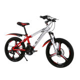 ALTRUISM K9 Pro 20 in Brand 21 Speed Beach Bike Mountain Bike for Kids,Children, Women Bikes Bicycle