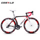 HOT SALE!2015 full carbon costelo lucca road bicycle carbon bike DIY complete bicycle completo bicicletta bicicleta completa