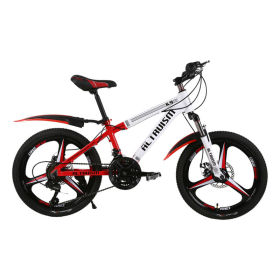 ALTRUISM K9 Pro 20 in Brand 21 Speed Beach Bike Mountain Bike for Kids,Children, Women Bikes Bicycle