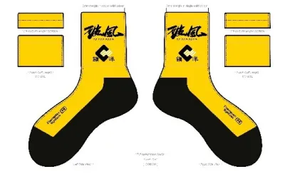 CHAMPION SYSTEM 破風電影產品-襪-細碼 / CHAMPION SYSTEM TO THE FARE SUBLIMATED SOCK-S