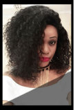 Lace Front Human Hair Wig Fabulous Style Brazilian Hair for Black Women with Most Competitive Price
