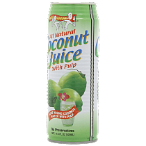 Natural Coconut Juice with Pulp 17.5-1
