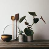 Walnut Spatula