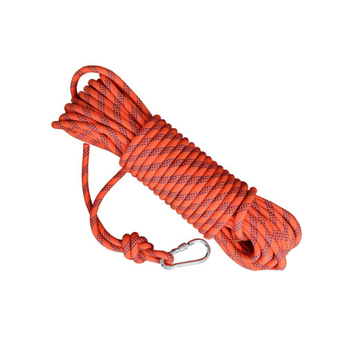 MAURIS LACINIA LECTUS