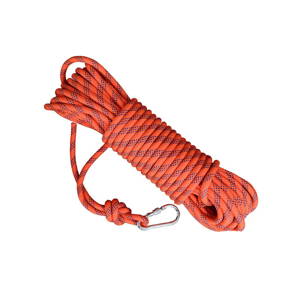 MAURIS LACINIA LECTUS